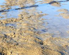 SATURATED SURFACE POSTPONES ALL STAR OPENER A